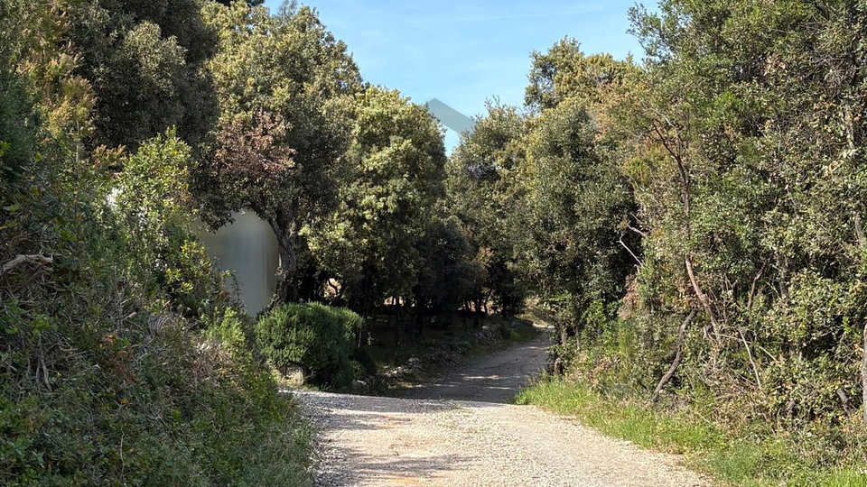 PRILIKA &ndash; POLJOPRIVREDNO ZEMLJI&Scaron;TE PAVI&Cacute;INI 426 m2 &lpar;BLIZU DUGE UVALE&rpar;