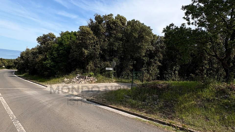 PRILIKA &ndash; POLJOPRIVREDNO ZEMLJI&Scaron;TE PAVI&Cacute;INI 426 m2 &lpar;BLIZU DUGE UVALE&rpar;