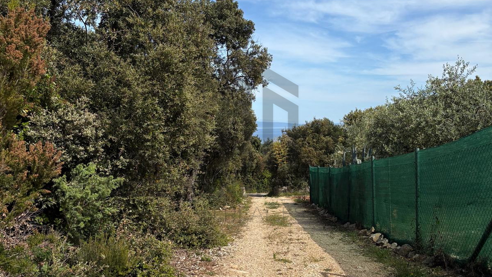 PRILIKA &ndash; POLJOPRIVREDNO ZEMLJI&Scaron;TE PAVI&Cacute;INI 426 m2 &lpar;BLIZU DUGE UVALE&rpar;