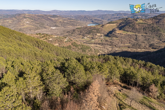 Terreno, 2517 m2, Vendita, Motovun