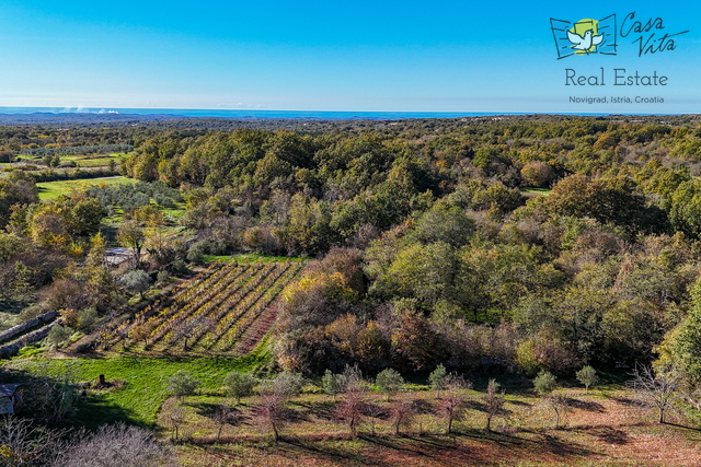 Istra, Poreč - Samostojeća kuća 12km od mora i centra grada Poreča!