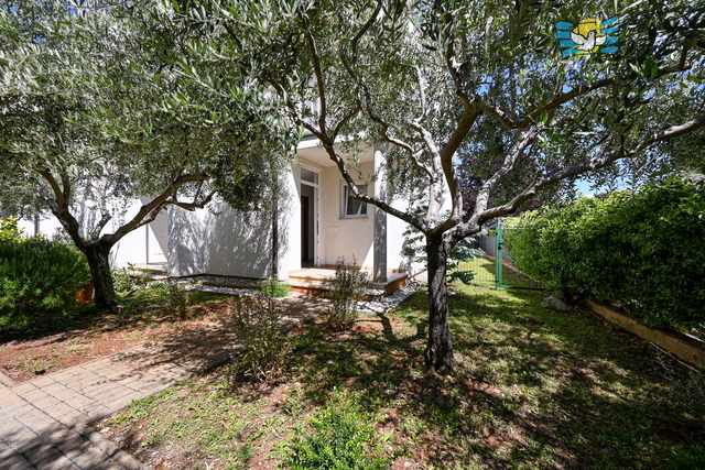House, 90 m2, For Rent, Novigrad
