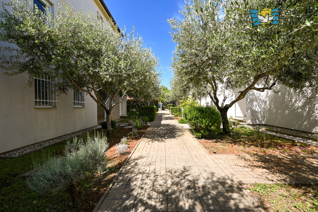 House, 90 m2, For Rent, Novigrad